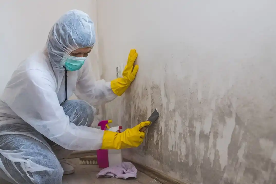 water damage restoration service Wards Corner